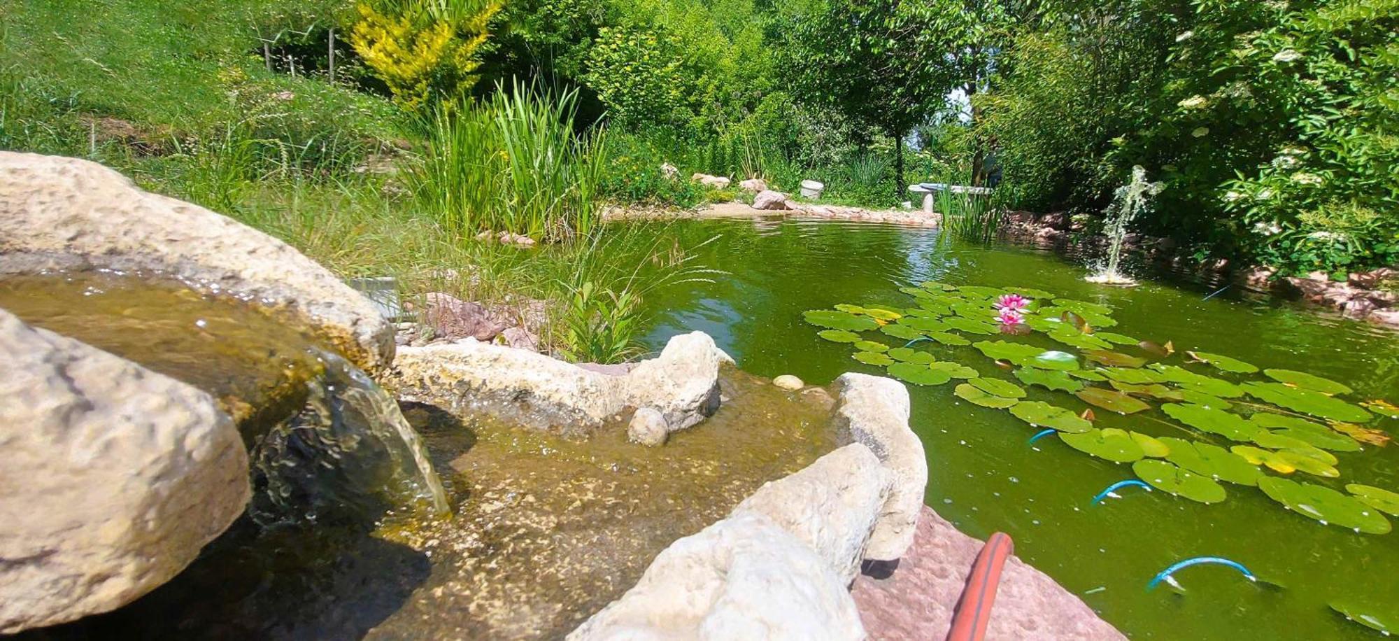 Villa Verteskacsa Vertesacsa ภายนอก รูปภาพ